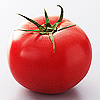 食材　トマト