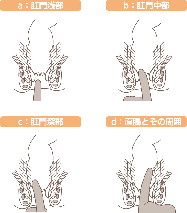図3. 指診の基本手技