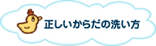 正しいからだの洗い方