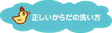 正しいからだの洗い方