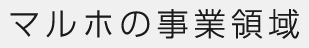 マルホの事業領域