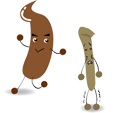 健康な便、細い便