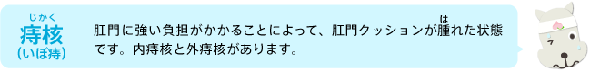 痔核（いぼ痔）肛門に強い負担がかかることによって、肛門クッションが腫（は）れた状態です。内痔核と外痔核があります。