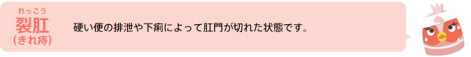 裂肛（きれ痔）硬い便の排泄や下痢によって肛門が切れた状態です。