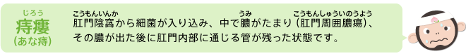 痔瘻（あな痔）肛門陰窩（こうもんいんか）から細菌が入り込み、中で膿（うみ）がたまり（肛門周囲膿瘍（こうもんしゅういのうよう））、その膿が出た後に肛門内部に通じる管が残った状態です。