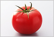 食材　トマト