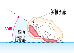 図：30度側臥位