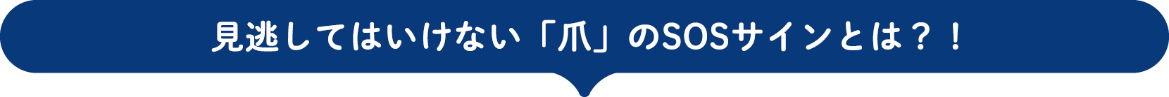 見逃してはいけない「爪」のSOSサインとは？！
