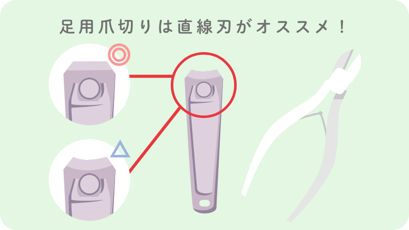 覚えておきたい 正しい爪の切り方 巻き爪 陥入爪専門メディア 巻き爪を知る 治す 予防する 製薬会社のマルホ