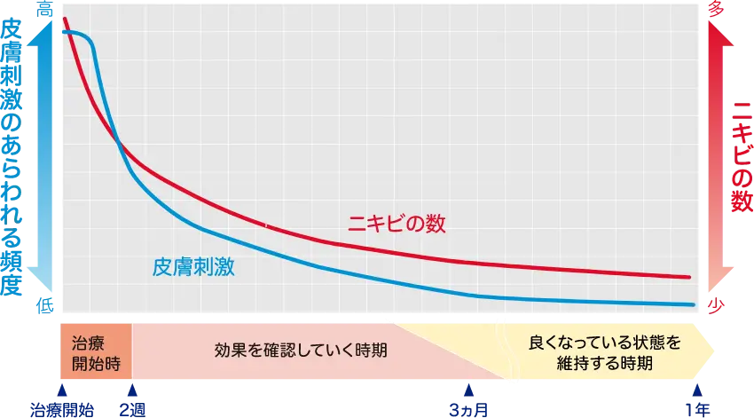 二キビの数と皮膚刺激の推移（イメージ）