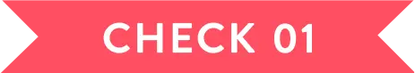check 01