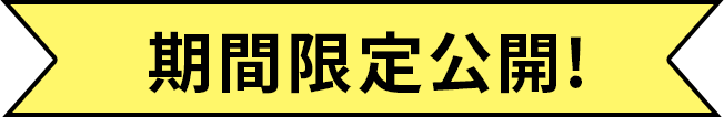 期間限定公開