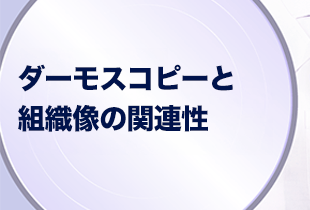 ダーモスコピーと組織像の関連性