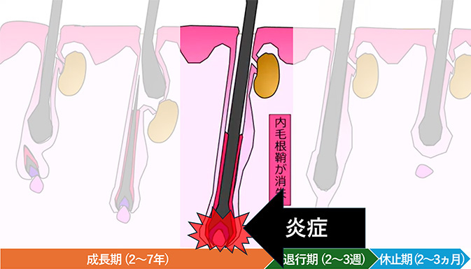 図１　山本明美先生ご提供　無断複写・転載禁止