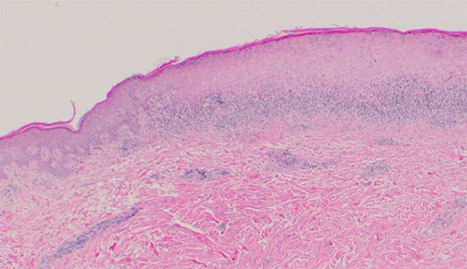 図１ 山本明美先生ご提供　無断複写・転載禁止
