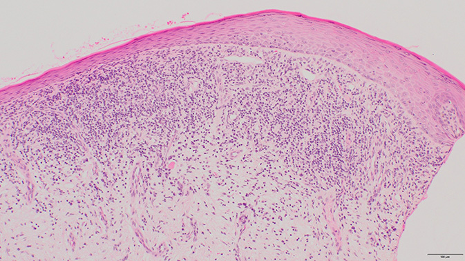 図１　山本明美先生ご提供　無断複写・転載禁止
