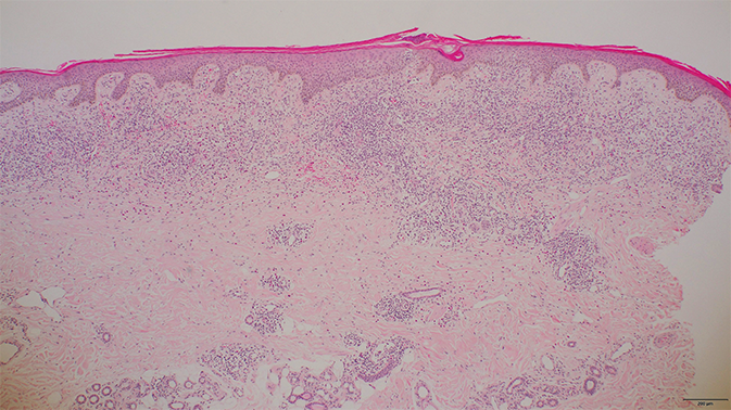 図1 山本明美先生ご提供 無断複写・転載禁止