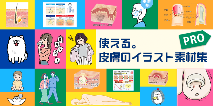 使える。皮膚のイラスト素材集 Pro