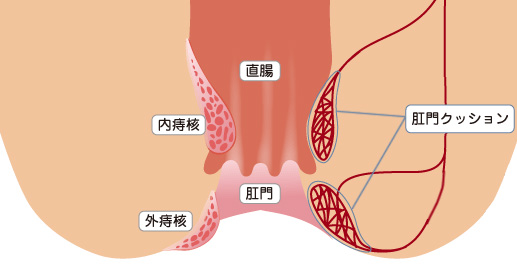 症状と分類