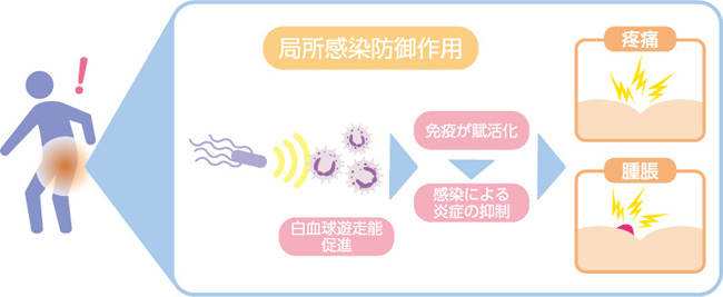 図8. 大腸菌死菌浮遊液の薬理作用とその臨床的効果(1)