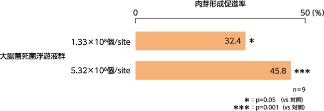 図12. Cotton Pellet肉芽形成に対する作用