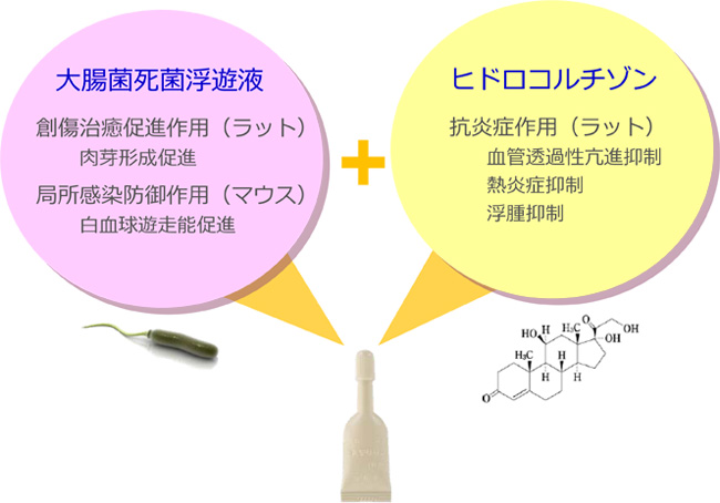 薬効薬理の全体像（イメージ図）