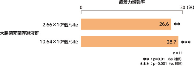 図13. 背部皮膚切開の創傷治癒に対する促進作用