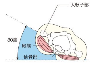 30度側臥位の図