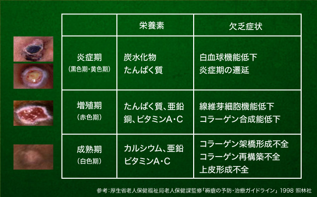 図3 褥瘡のレベルと栄養管理