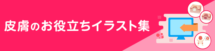 皮膚のお役立ちイラスト集 Dermado デルマド マルホ株式会社 皮膚科学領域での卓越した貢献を