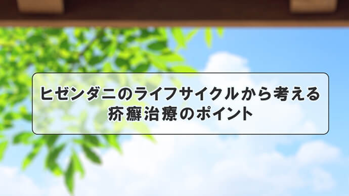 ヒゼンダニのライフサイクルから考える疥癬治療のポイント