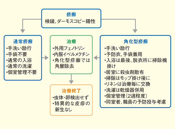 図. 疥癬の治療および感染対策アルゴリズム