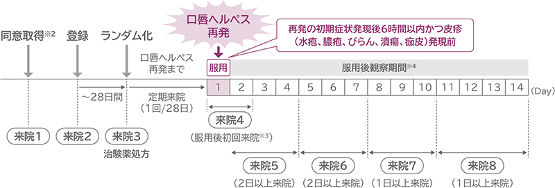 試験スケジュール