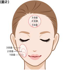 塗る面積について