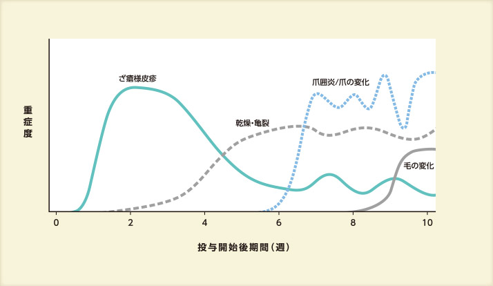 EGFR阻害薬による皮膚障害発現時期