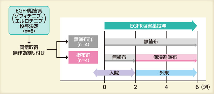 ゲフィチニブあるいはエルロチニブの投与対象