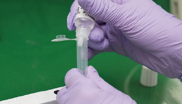 テストチューブに抽出液を加え