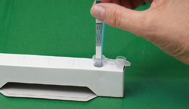 テストストリップのサンプルパッドをテストチューブに⼊れ、5分以上置いて判定します。