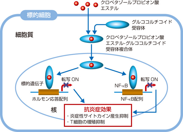 作用機序