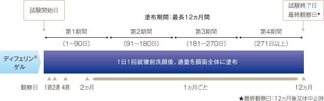 図：塗布期間