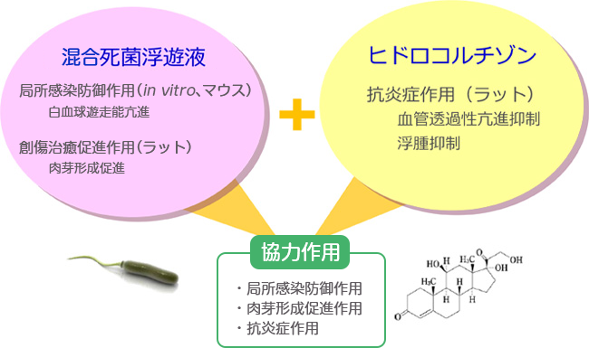 エキザルベの作用機序