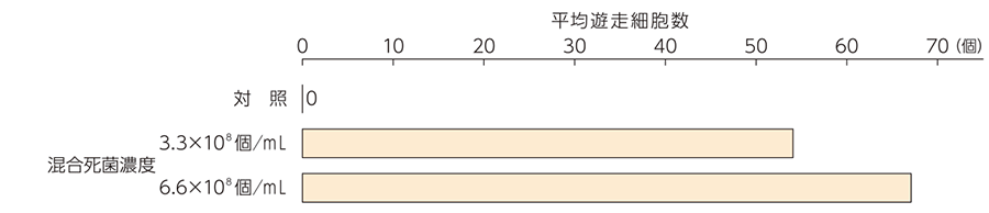 マクロファージの遊走活性