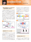 痛み刺激受容の分子機構