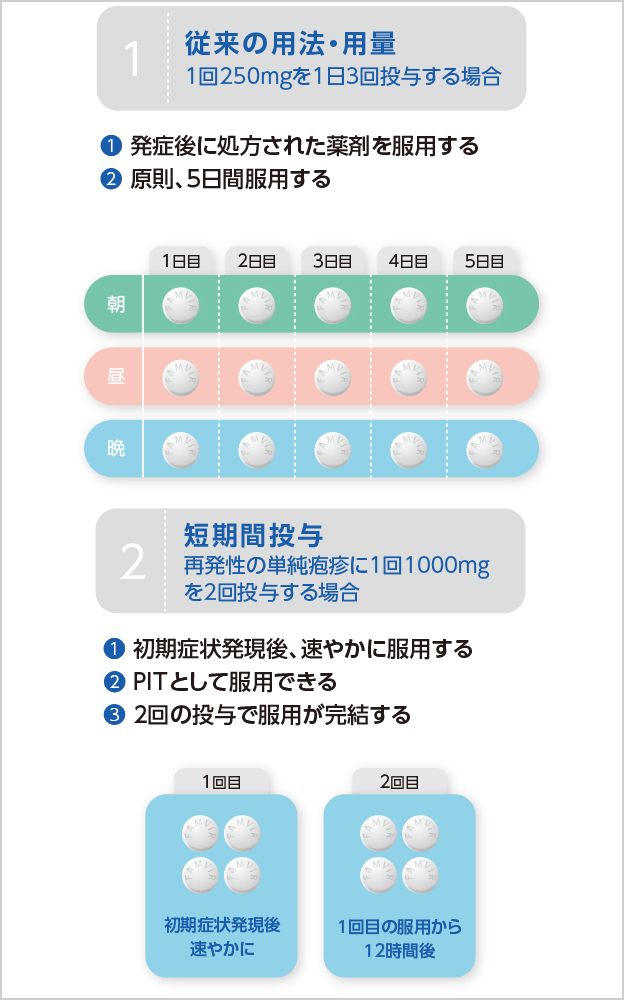 用法・用量のイメージ図