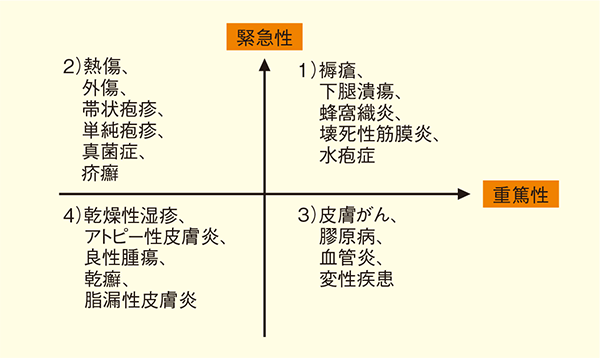 図3.在宅医療で遭遇する主な皮膚疾患