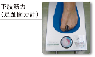 下肢筋力
