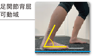 足関節背屈可動域