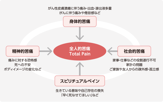 図1：がん性皮膚潰瘍患者さんの全人的苦痛（例）