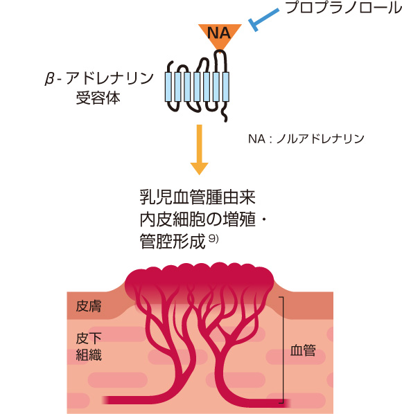 作用機序