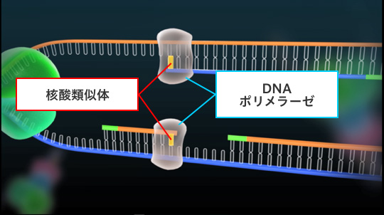 核酸類似体